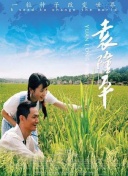 苍穹风云录的扩展包与新内容深入分析